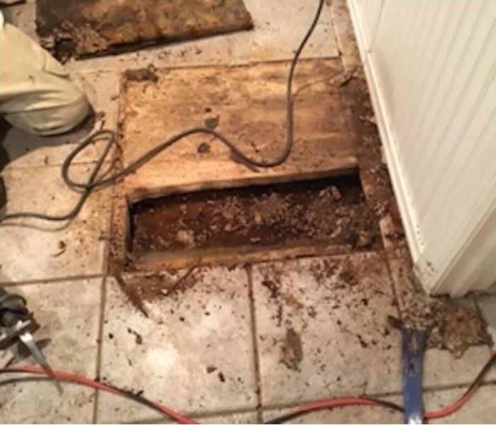 bathroom showing cutaway floor with sewage damage