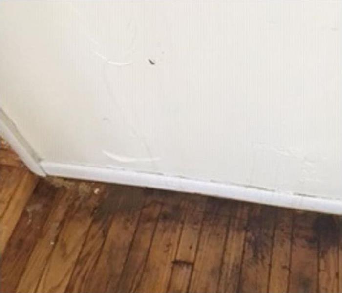 water damaged wall and hardwood; paint bubbling on walls; discoloration on hardwood floors