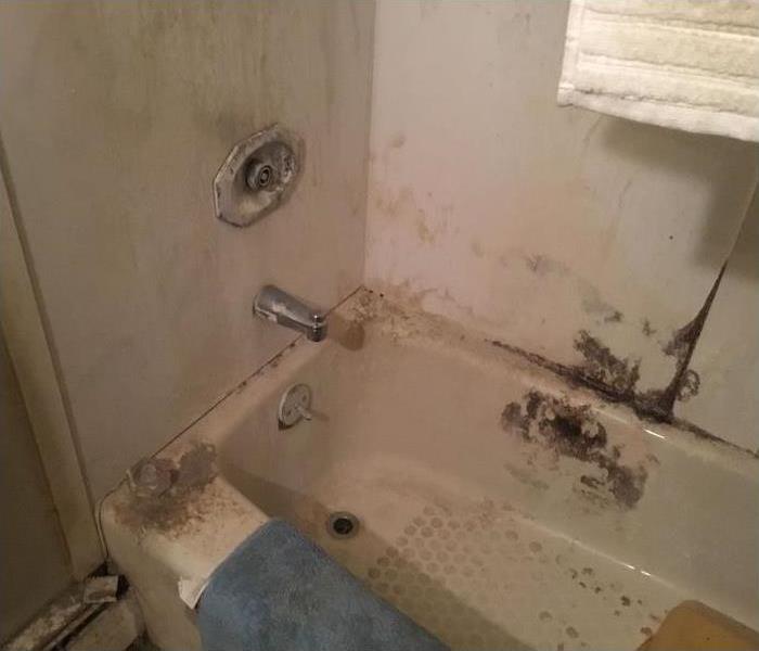 mold damage around a bathtub